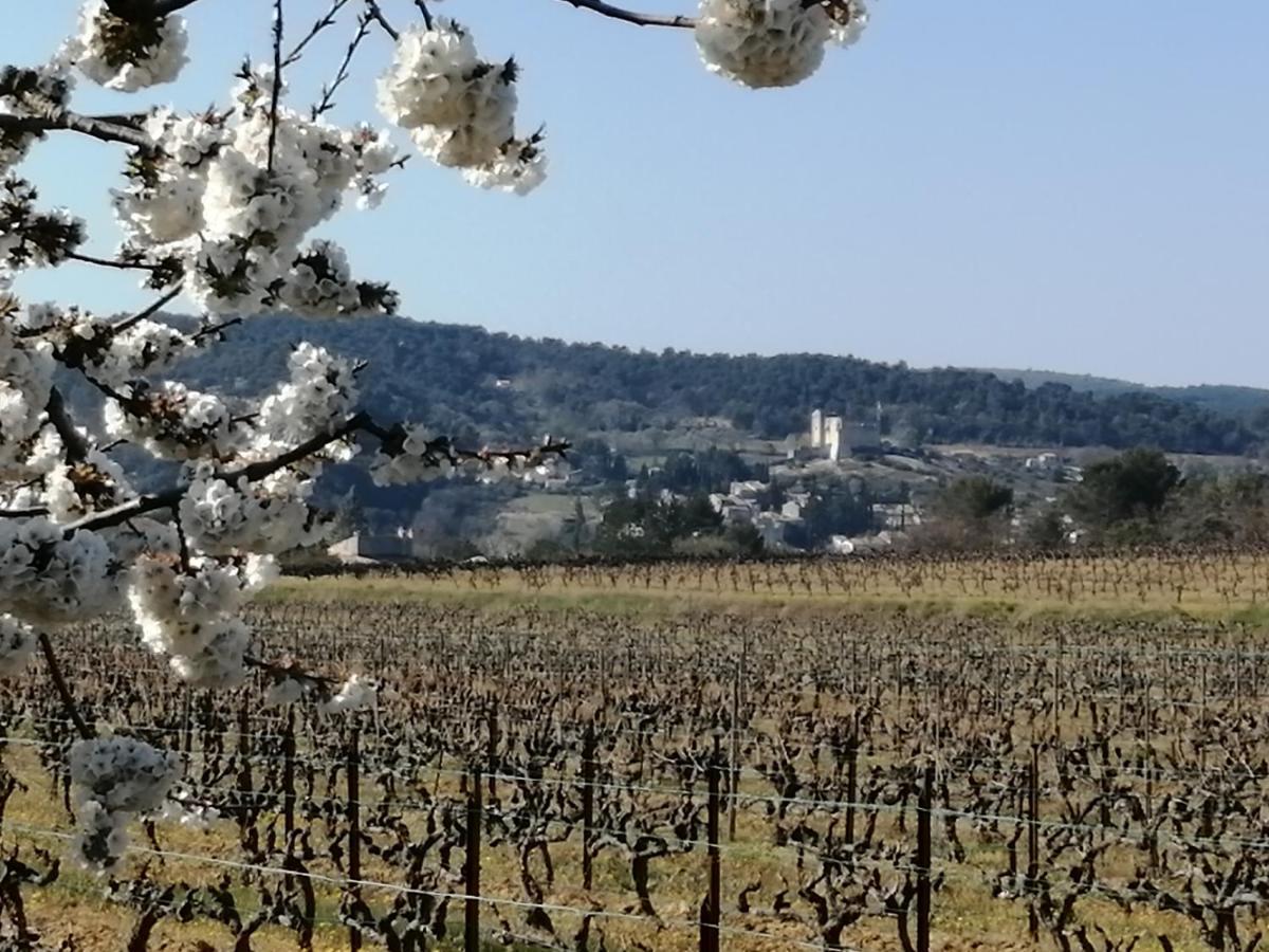 Au Villadior - Vaison La Romaine Dış mekan fotoğraf