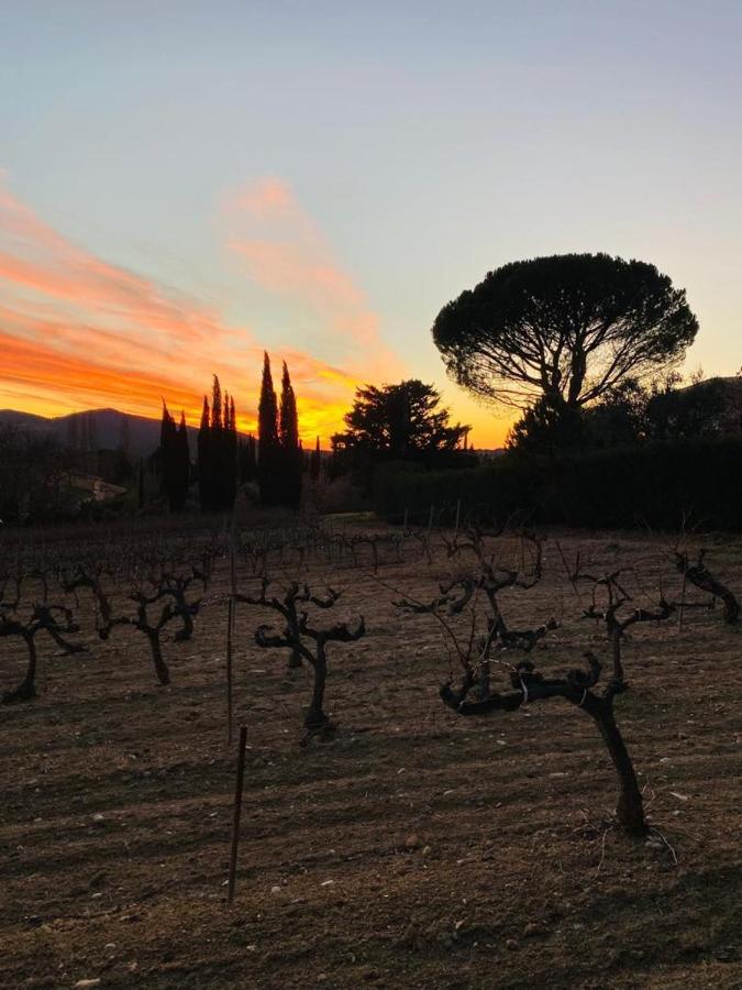 Au Villadior - Vaison La Romaine Dış mekan fotoğraf